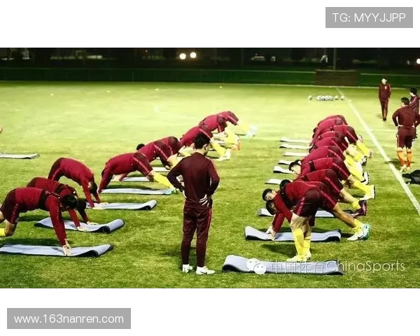 内尔高谈默契全力备战下一场比赛